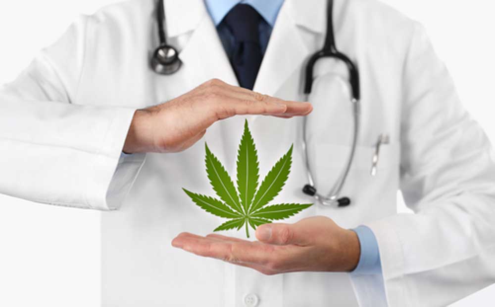 Doctor holding marijuana leaf